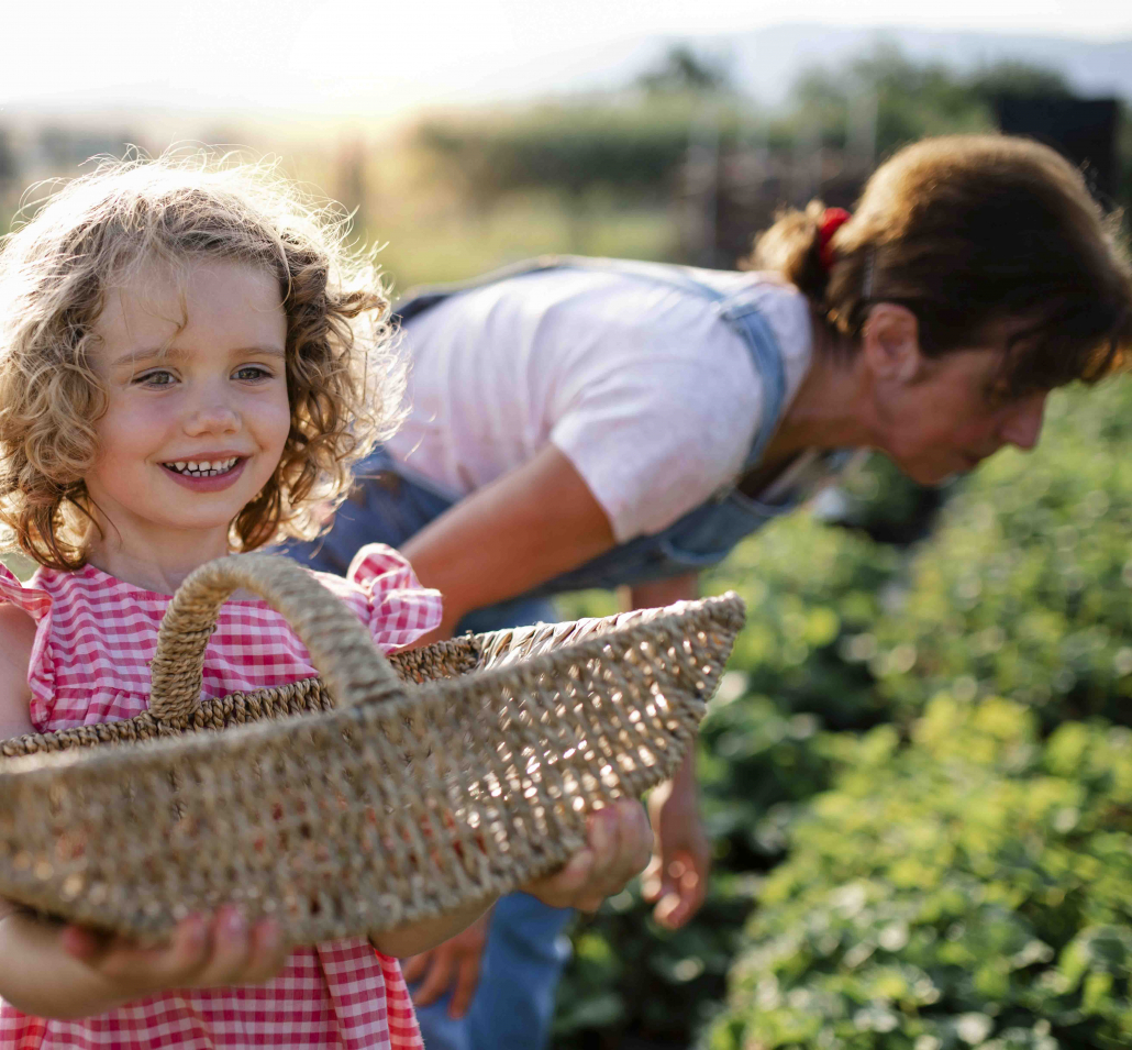 caderno de campo para pequeno produtor