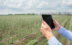 caderno-de-campo-qrcode