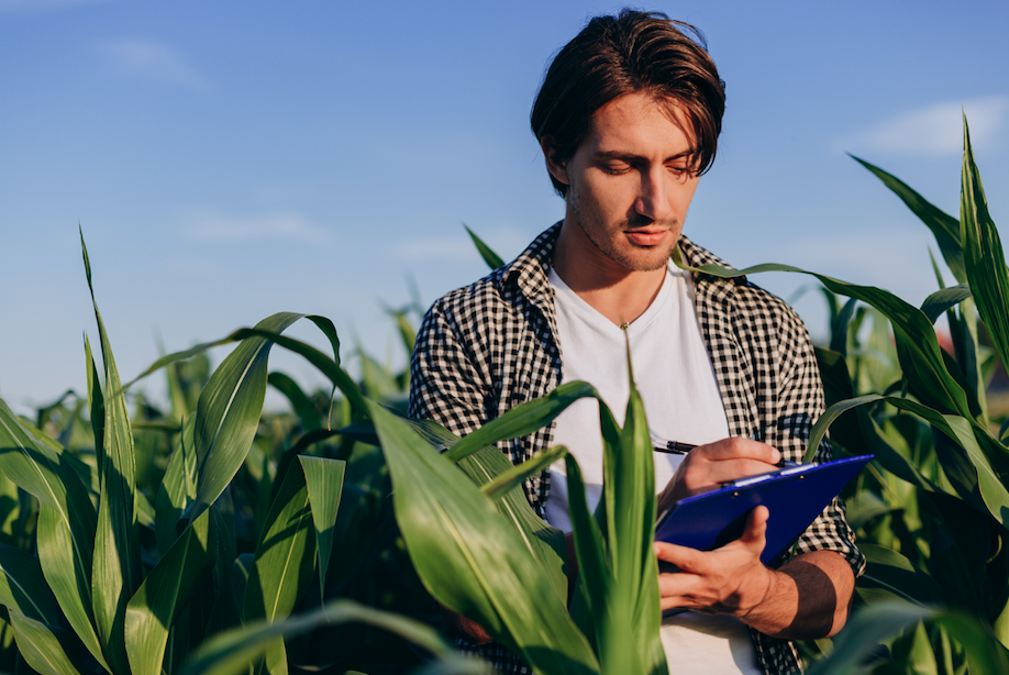 Comprador do agro - rastreabilidade de alimentos